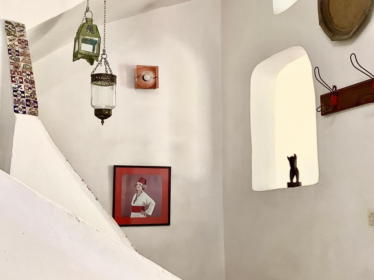 Dar 91 Appartement
